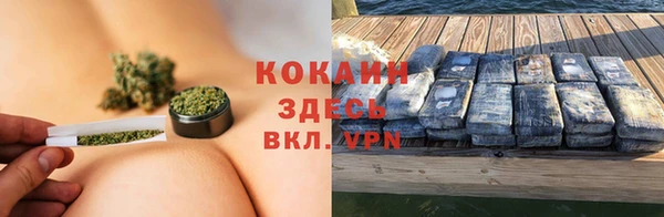 ГАЛЛЮЦИНОГЕННЫЕ ГРИБЫ Заводоуковск