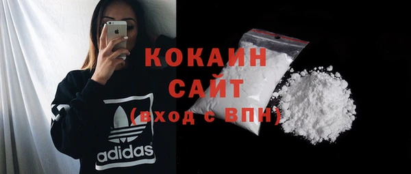 ГАЛЛЮЦИНОГЕННЫЕ ГРИБЫ Заводоуковск